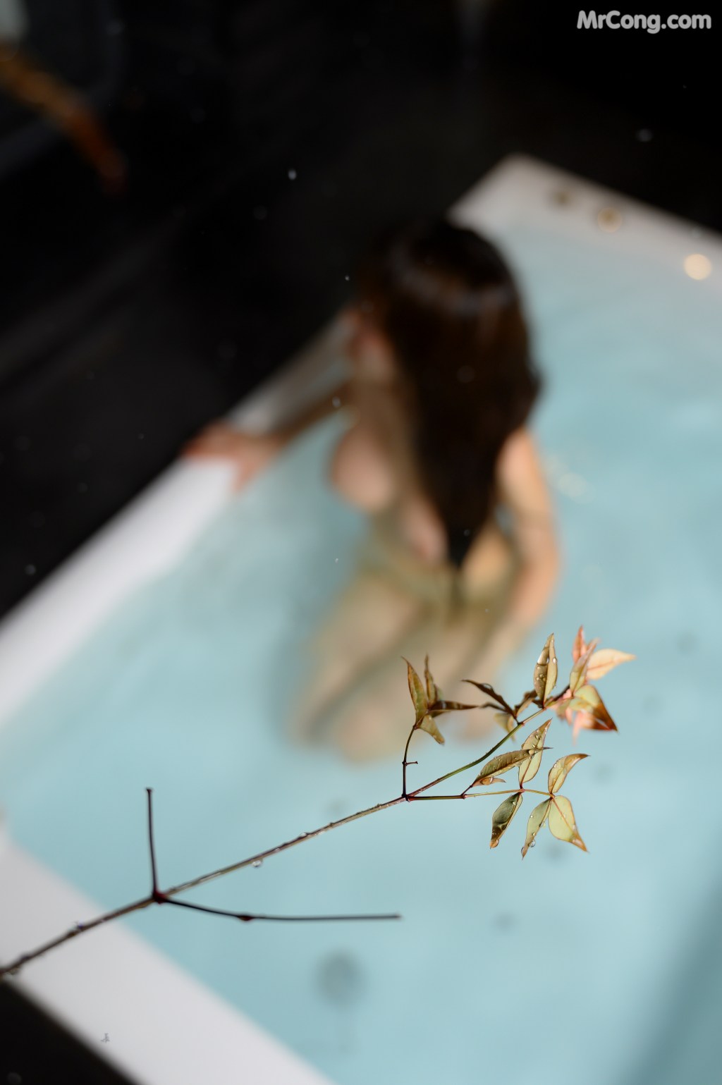 Jucy (쥬시) – Cherry Blossom – Moon Night Snap (72 photos + 1 video) – Page 2