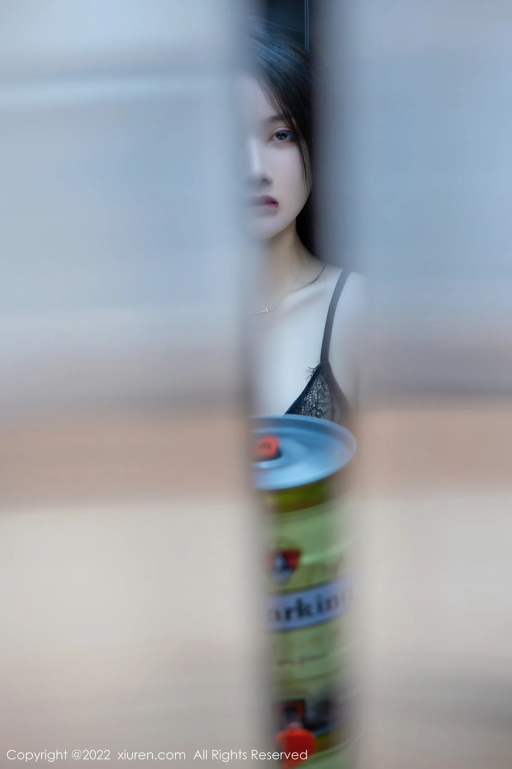 XIUREN No.4513: summer宝宝 (66 photos) – Page 6
