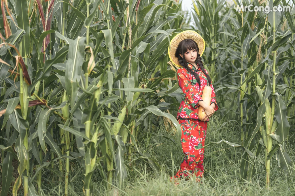 Coser@蠢沫沫 (chunmomo): The Story of Cornfield (50 photos)