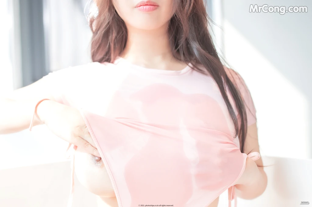 PhotoChips Vol.99 – No.19 Bokbunjajoo (복분자주) (77 photos)